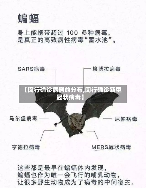 【闵行确诊病例的分布,闵行确诊新型冠状病毒】-第3张图片