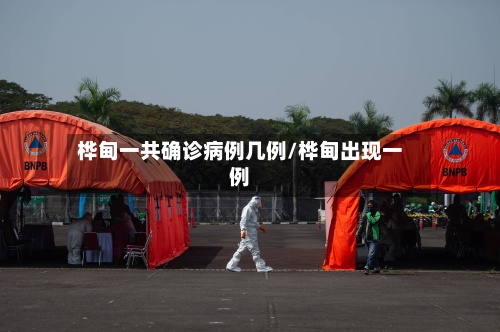 桦甸一共确诊病例几例/桦甸出现一例