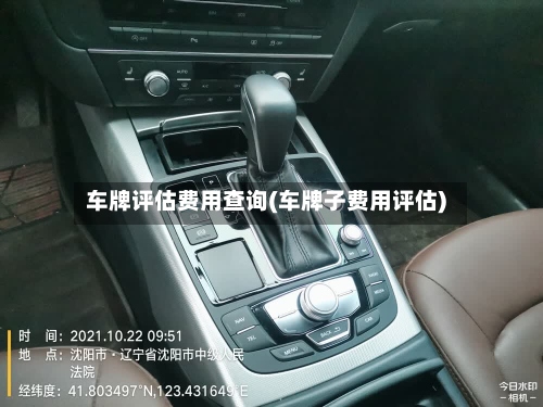 车牌评估费用查询(车牌子费用评估)