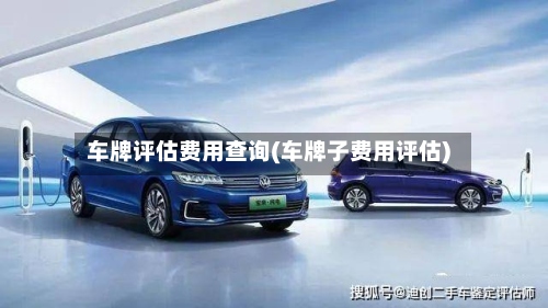 车牌评估费用查询(车牌子费用评估)-第2张图片