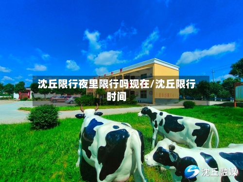 沈丘限行夜里限行吗现在/沈丘限行时间