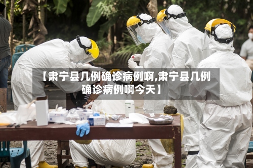 【肃宁县几例确诊病例啊,肃宁县几例确诊病例啊今天】-第3张图片