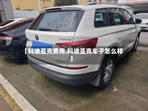【科迪亚克费用,科迪亚克车子怎么样】-第3张图片