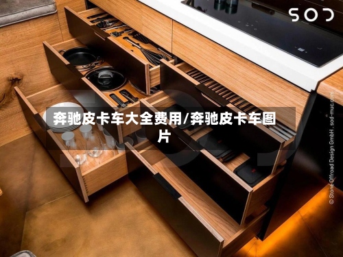 奔驰皮卡车大全费用/奔驰皮卡车图片-第2张图片