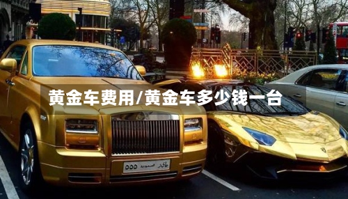黄金车费用/黄金车多少钱一台-第2张图片