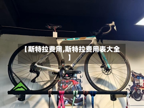 【斯特拉费用,斯特拉费用表大全】