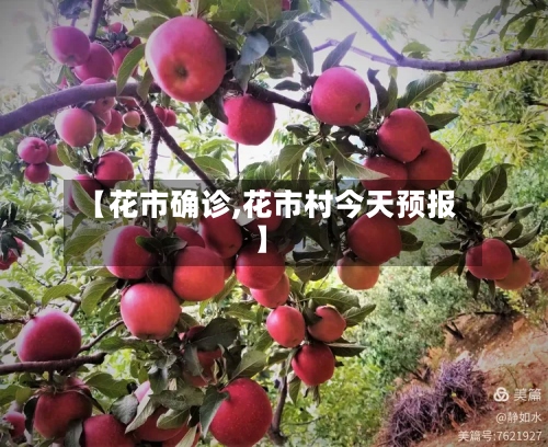 【花市确诊,花市村今天预报】