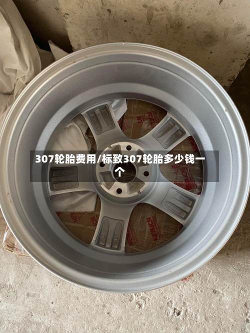 307轮胎费用/标致307轮胎多少钱一个