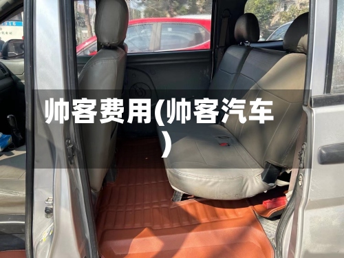 帅客费用(帅客汽车)