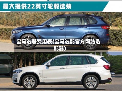 宝马选装费用表(宝马选配官方网站选配器)-第2张图片