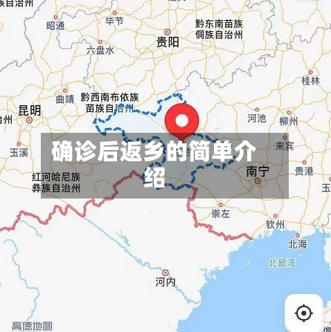 确诊后返乡的简单介绍-第3张图片