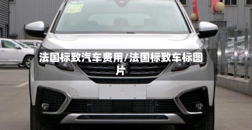 法国标致汽车费用/法国标致车标图片-第2张图片