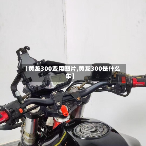 【黄龙300费用图片,黄龙300是什么车】-第3张图片