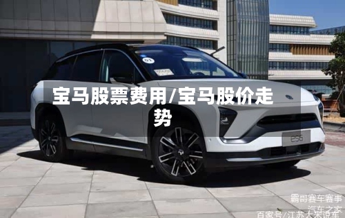 宝马股票费用/宝马股价走势