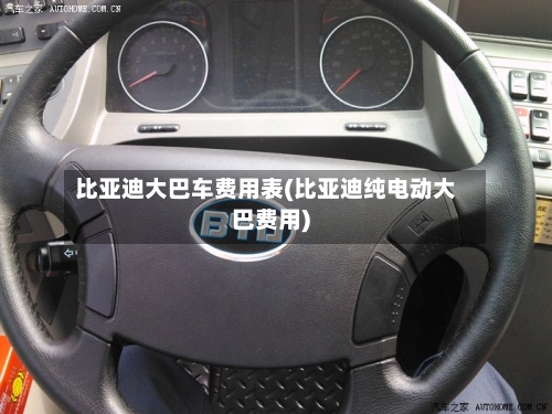 比亚迪大巴车费用表(比亚迪纯电动大巴费用)-第2张图片