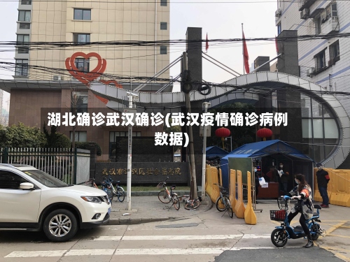 湖北确诊武汉确诊(武汉疫情确诊病例数据)