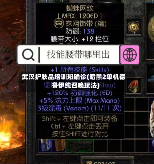 武汉护肤品培训班确诊(暗黑2单机德鲁伊纯召唤玩法)