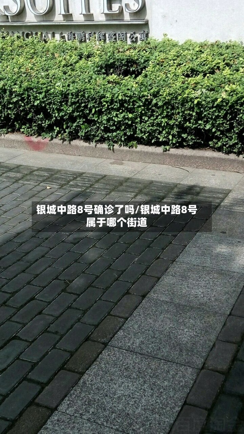 银城中路8号确诊了吗/银城中路8号属于哪个街道-第3张图片
