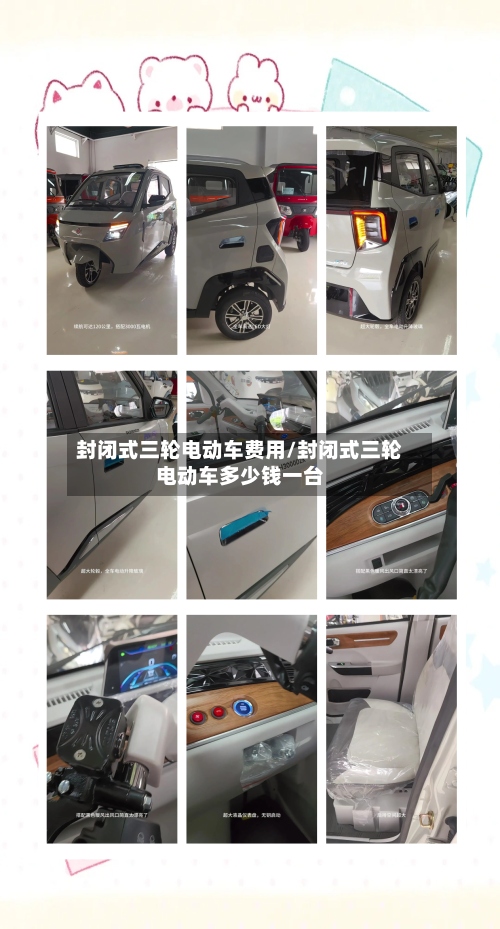 封闭式三轮电动车费用/封闭式三轮电动车多少钱一台-第2张图片