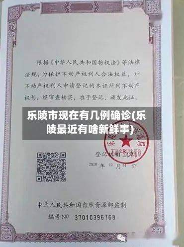 乐陵市现在有几例确诊(乐陵最近有啥新鲜事)-第2张图片