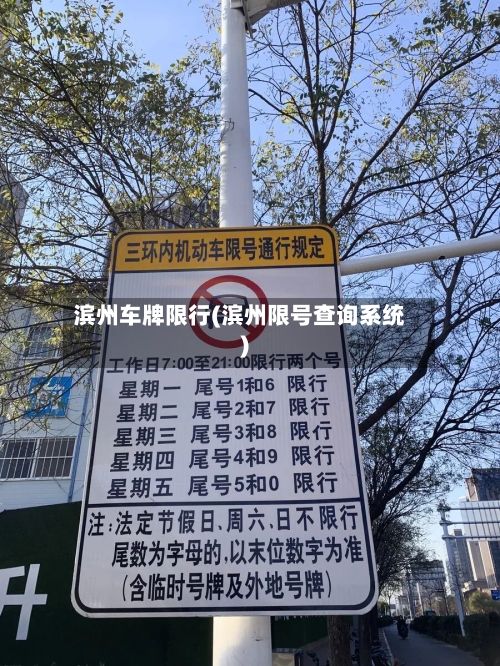 滨州车牌限行(滨州限号查询系统)