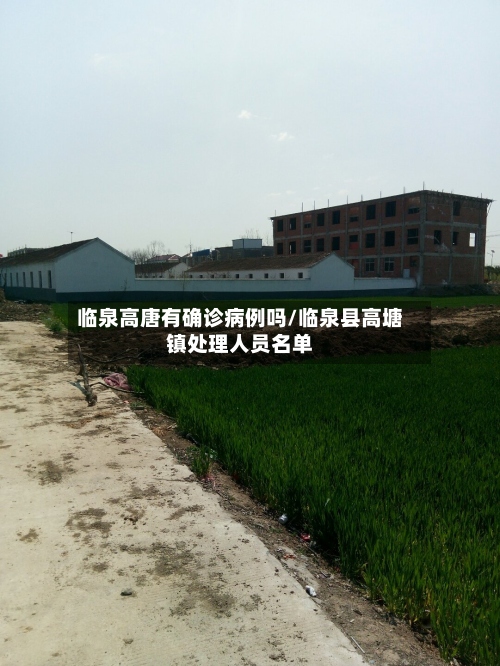临泉高唐有确诊病例吗/临泉县高塘镇处理人员名单