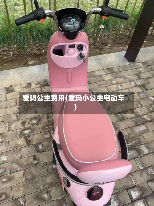 爱玛公主费用(爱玛小公主电动车)-第2张图片