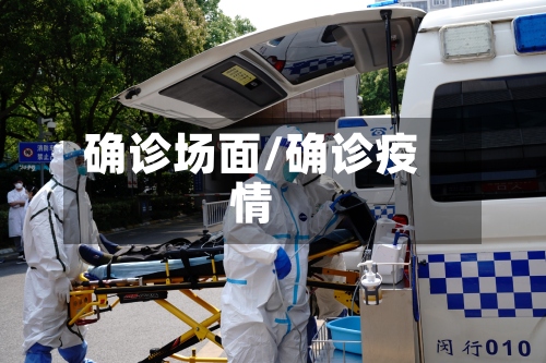 确诊场面/确诊疫情