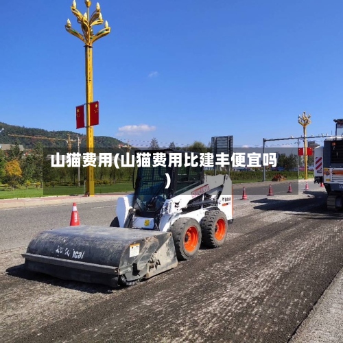 山猫费用(山猫费用比建丰便宜吗)
