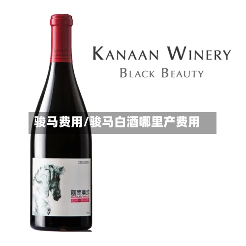 骏马费用/骏马白酒哪里产费用-第2张图片