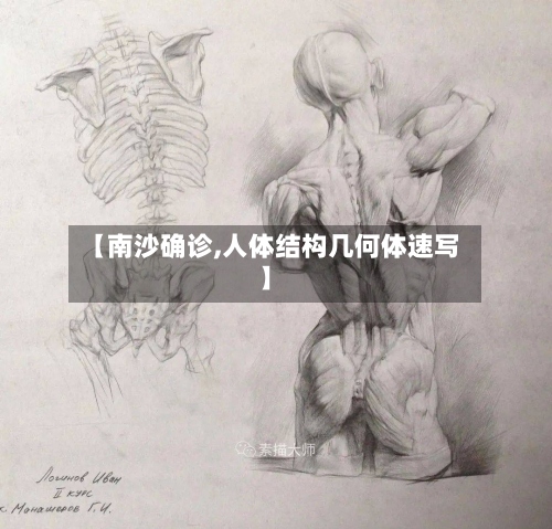 【南沙确诊,人体结构几何体速写】