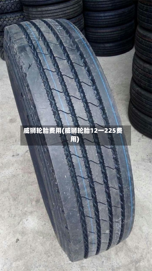 威狮轮胎费用(威狮轮胎12一225费用)-第2张图片