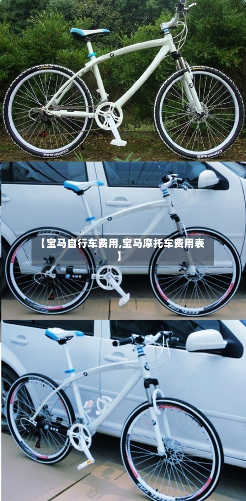 【宝马自行车费用,宝马摩托车费用表】