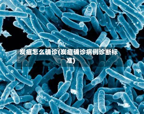 炭疽怎么确诊(炭疽确诊病例诊断标准)-第3张图片
