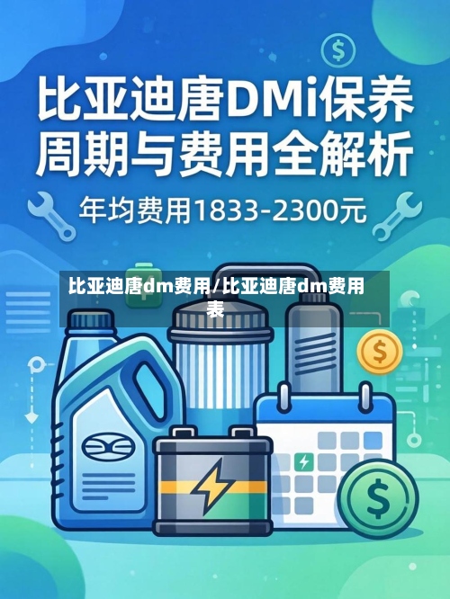 比亚迪唐dm费用/比亚迪唐dm费用表