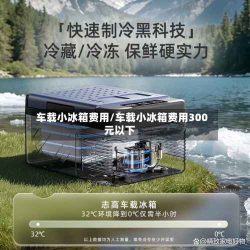 车载小冰箱费用/车载小冰箱费用300元以下-第2张图片