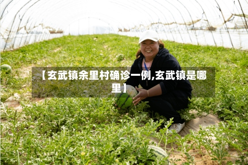 【玄武镇余里村确诊一例,玄武镇是哪里】