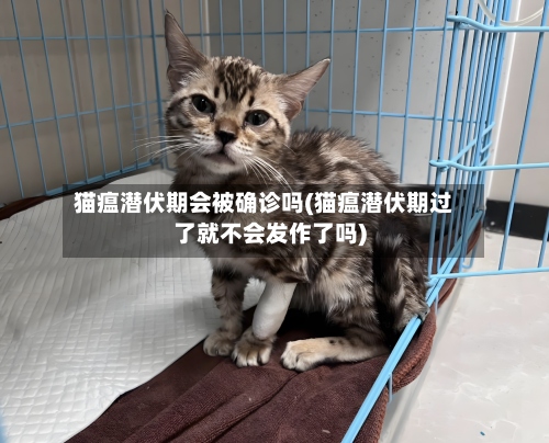 猫瘟潜伏期会被确诊吗(猫瘟潜伏期过了就不会发作了吗)-第2张图片