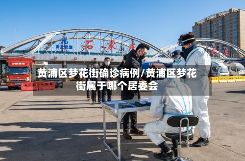 黄浦区梦花街确诊病例/黄浦区梦花街属于哪个居委会