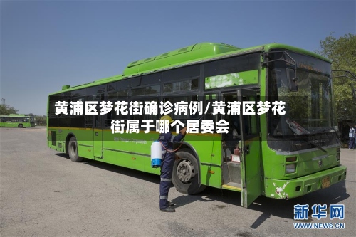 黄浦区梦花街确诊病例/黄浦区梦花街属于哪个居委会-第3张图片