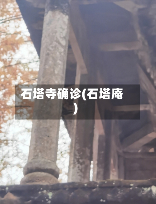 石塔寺确诊(石塔庵)-第2张图片