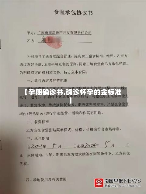 【孕期确诊书,确诊怀孕的金标准】-第2张图片