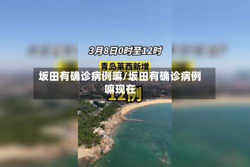坂田有确诊病例嘛/坂田有确诊病例嘛现在