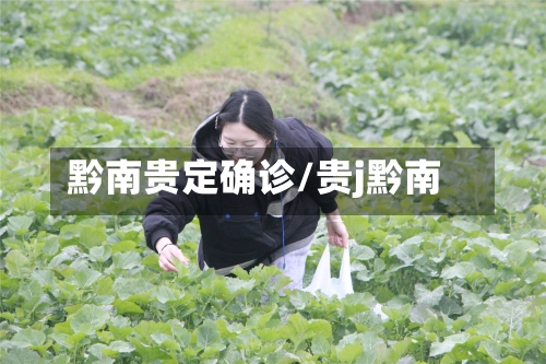 黔南贵定确诊/贵j黔南-第2张图片