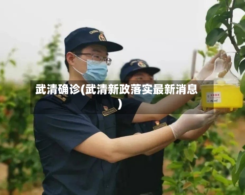 武清确诊(武清新政落实最新消息)