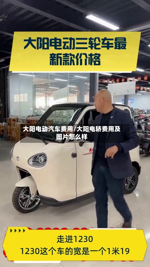 大阳电动汽车费用/大阳电轿费用及图片怎么样-第2张图片