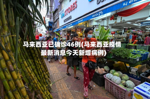 马来西亚已确诊46例(马来西亚疫情最新消息今天新增病例)-第3张图片