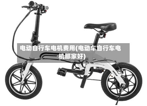 电动自行车电机费用(电动车自行车电机那家好)-第2张图片