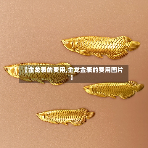 【金龙表的费用,金龙金表的费用图片】