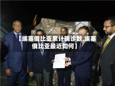 【埃塞俄比亚累计确诊数,埃塞俄比亚最近如何】-第2张图片